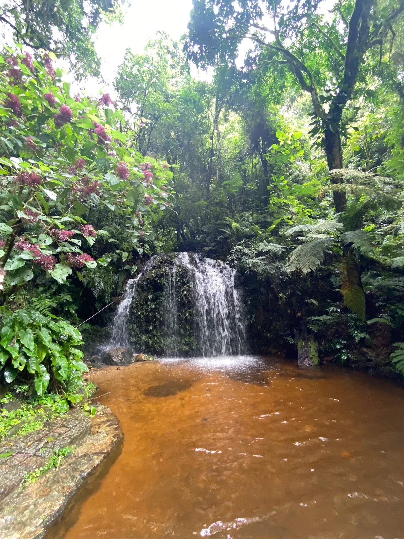 Queda d’água da Cascata dos Amores cercada de vegetação