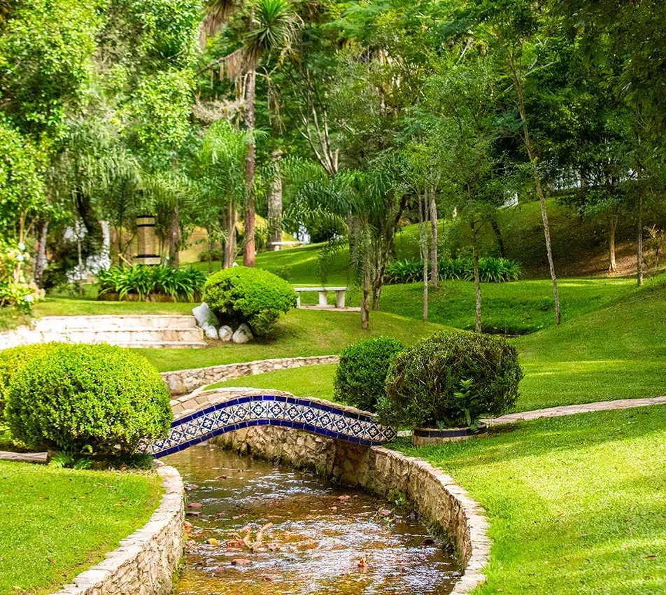 Bosques