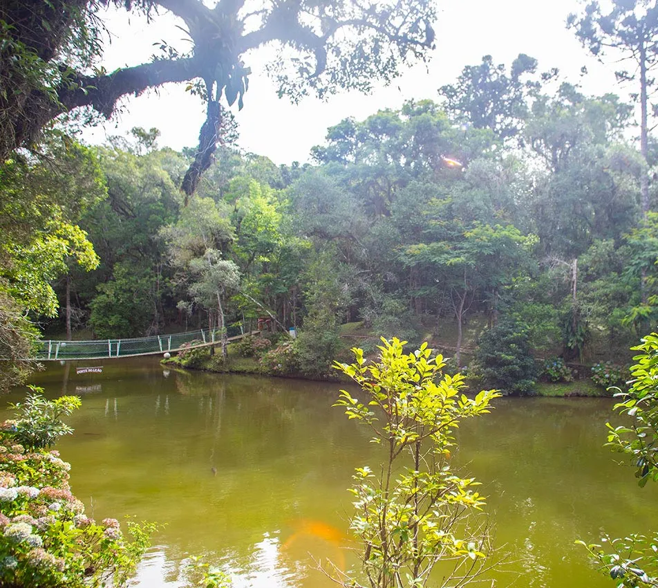 Ponte do Leão
